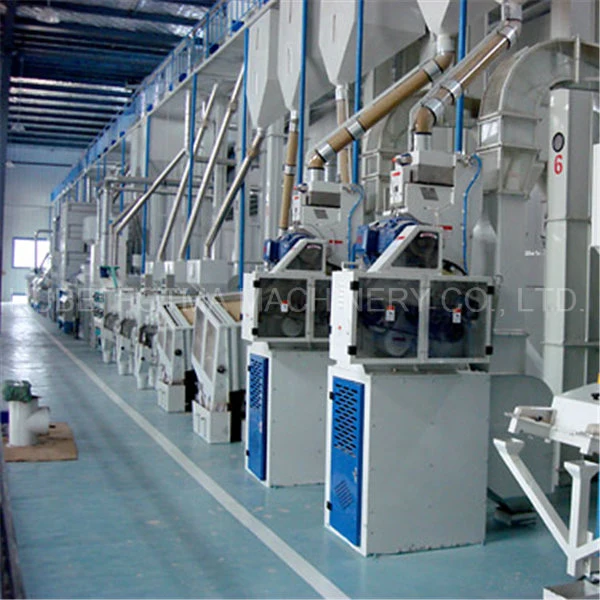 100 T/Day Fully Automatic Rice Mill