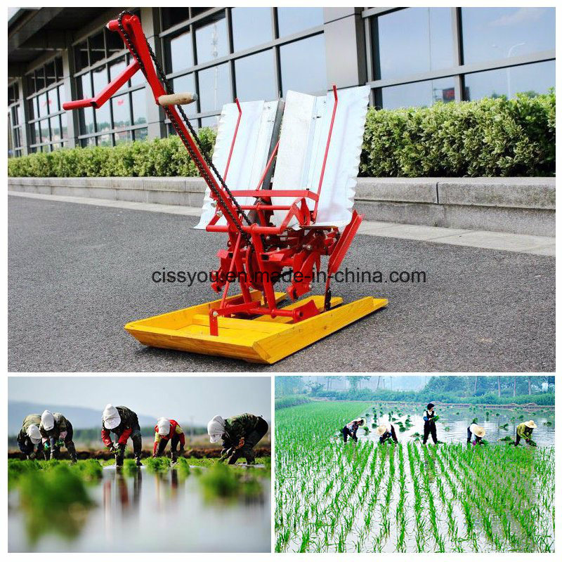 China Paddy Rice Seedling Planter Transplanter Machine