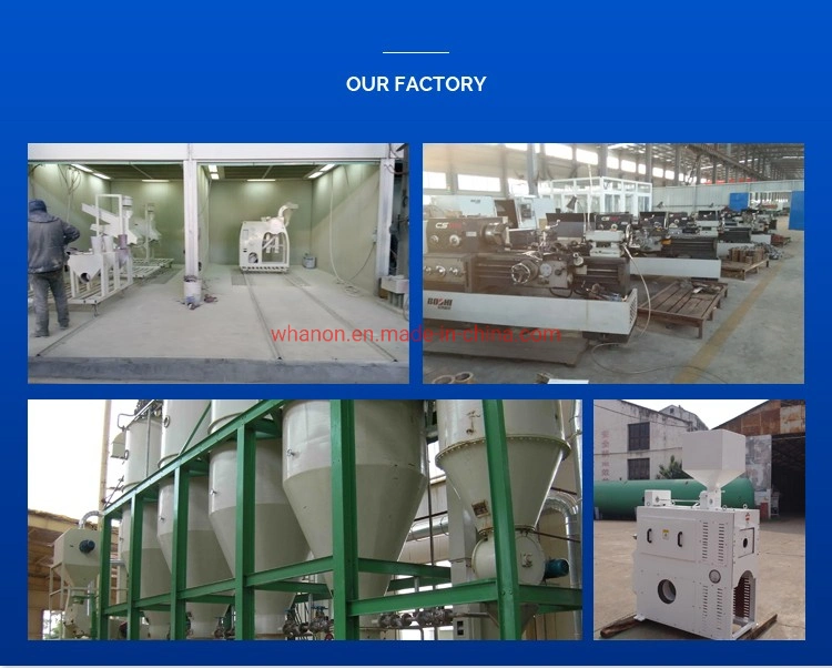 Anon 100tpd Parboiled Rice Mill Plant New Type Automatic Complete Rice Milling Machine