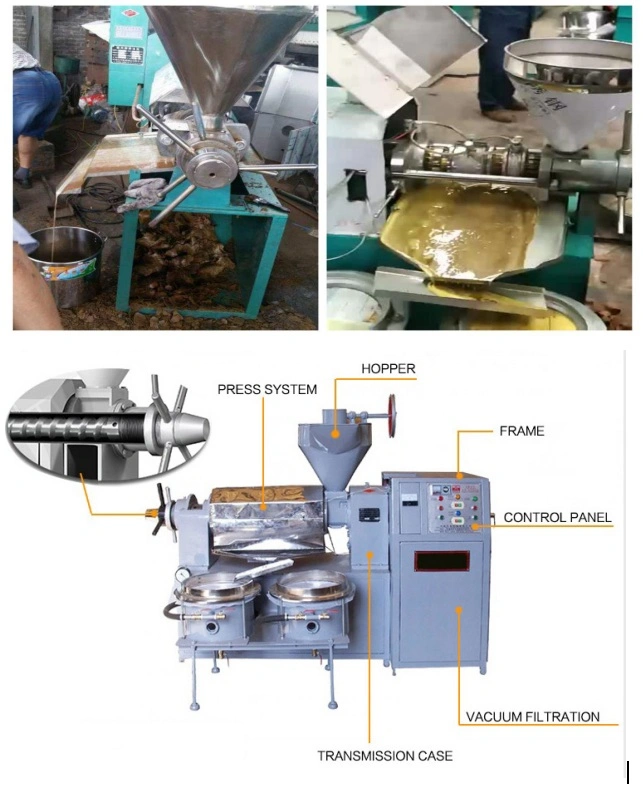 Ce Certification Rapeseed Screw Oil Press Machine and Palm Coconut Avocado Oil Extraction Machine