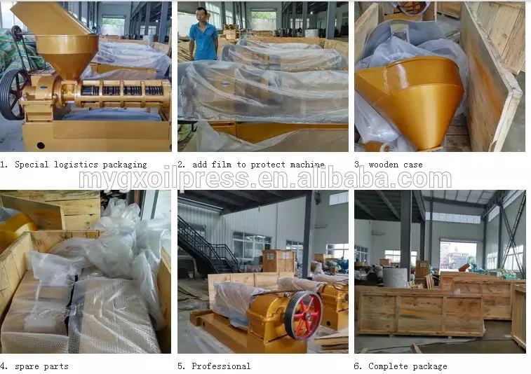 High Quality Palm Kernel Oil Extraction Machine