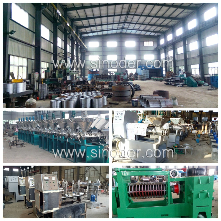 Cold Press Oil Extraction Machine Screw Oil Expeller Peanut Oil Making Machinery Sunflower Seeds Oil Mill