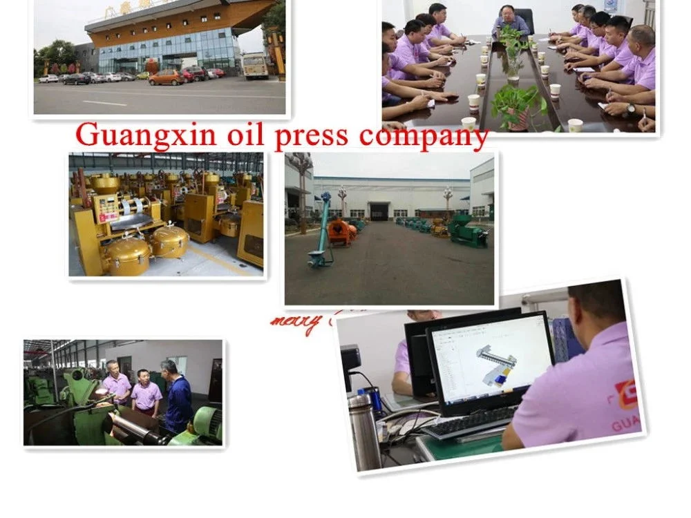 Small Screw Oil Press Mill Rapeseed Peanut Small Oil Production