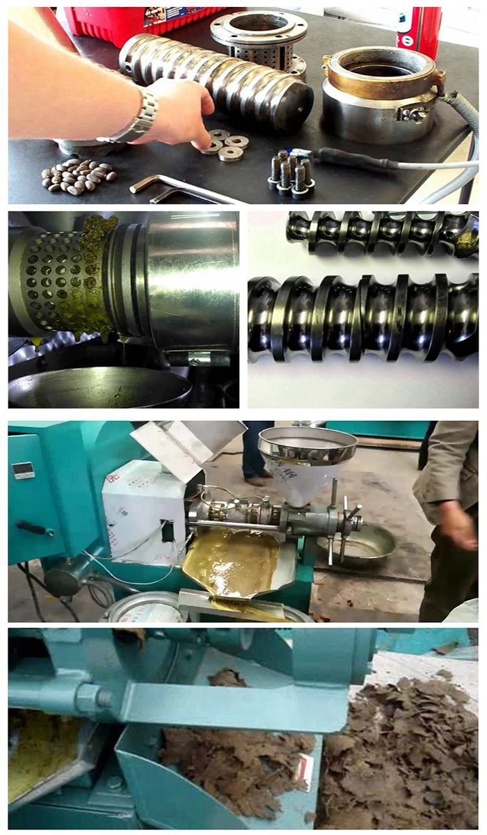 6yl Screw Type Oil Extraction Coconut Oil Press Sunflower Soybean Copra Oil Press Machine