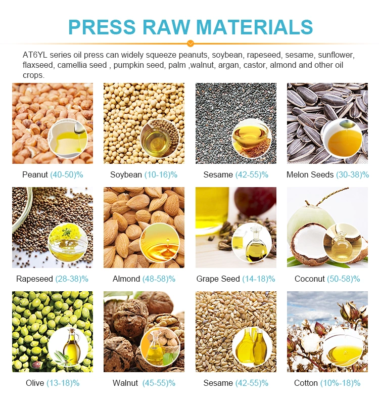 6yl -100 Rosehip Avocado Cold Press Vegetable Oil Extractor Palm Kernel Oil Processing Machine