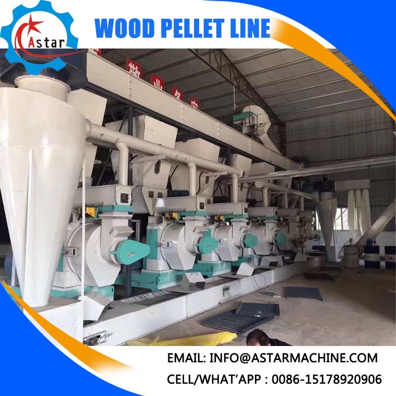 2t/H Complete Wood Biomass Sawdust Pellet Processing Machine Line