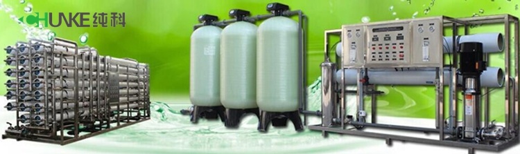 EDI Membrane System Purifier Machine Reverse Osmosis Water Filtering Equipment