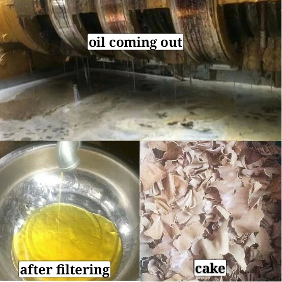 Palm Kernel Oil Expeller From Guangxin Brand