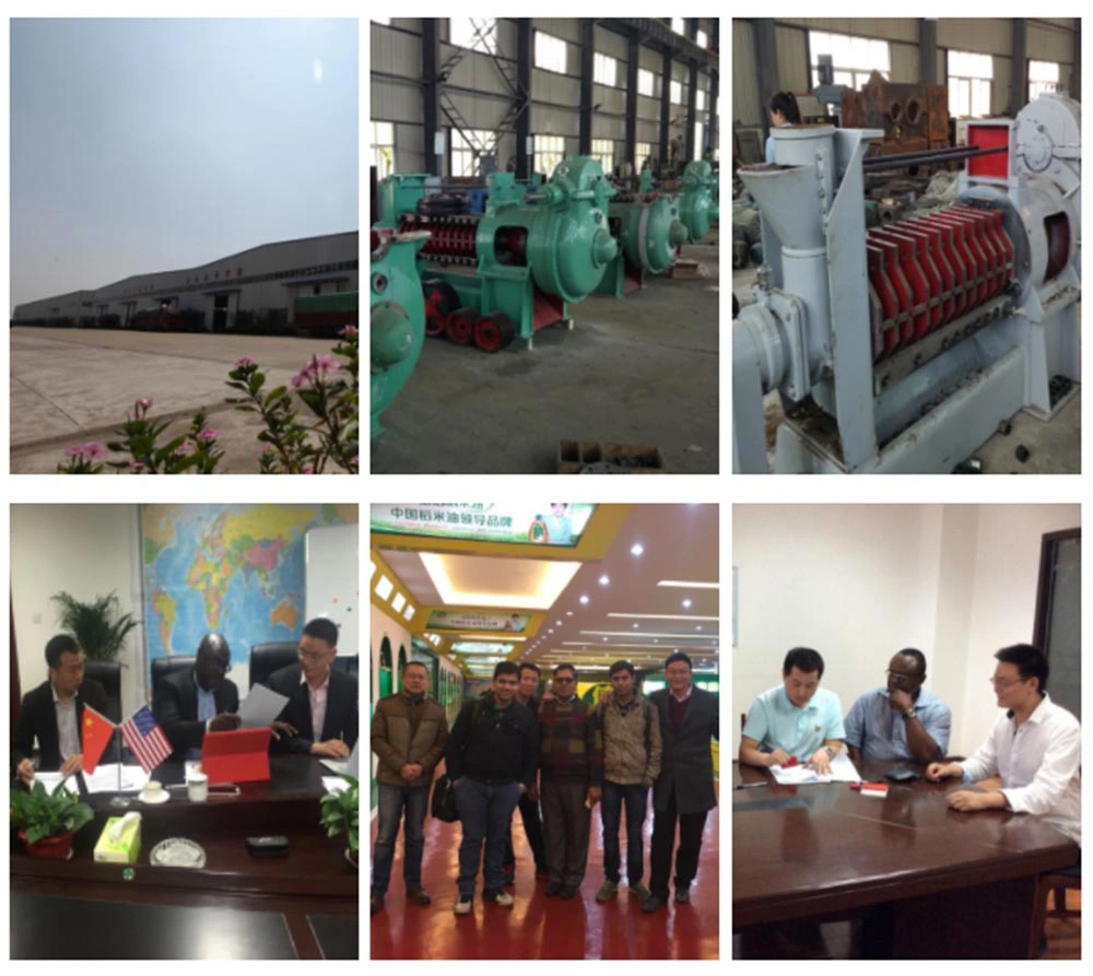 High Oil Output Rapeseed Cold Press Oil Extracting Machine and Copra Oil Press Machine