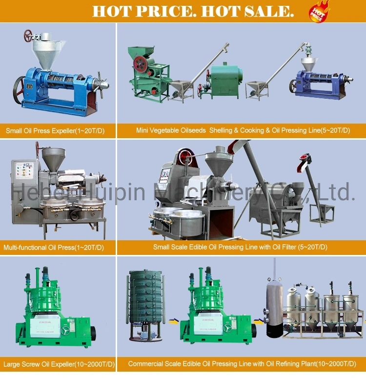 Canola Screw Oil Press Sunflower Seed Oil Mill Palm Expeller