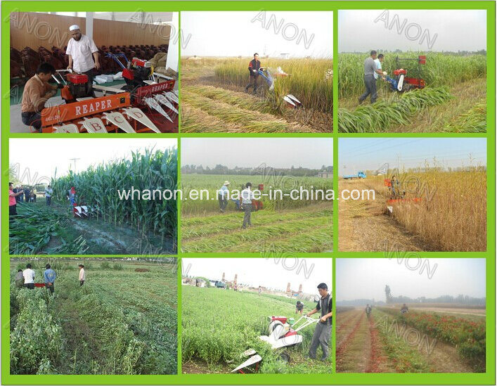 Anon Hot Selling Mini Type Rice Wheat Harvesting Machine Rice Reaper