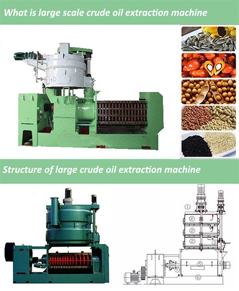 Automatic Coconut Oil Processing Machine Mustard Oil Expeller Rice Bran Oil Press Machine