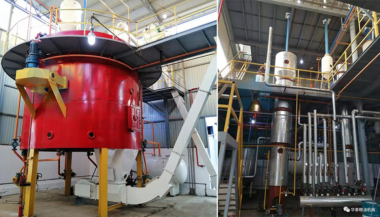 Sunflower Seed/Soyabean/Rapeseed/Seasame/Peanut/Rice Bran Oil Extraction Machine