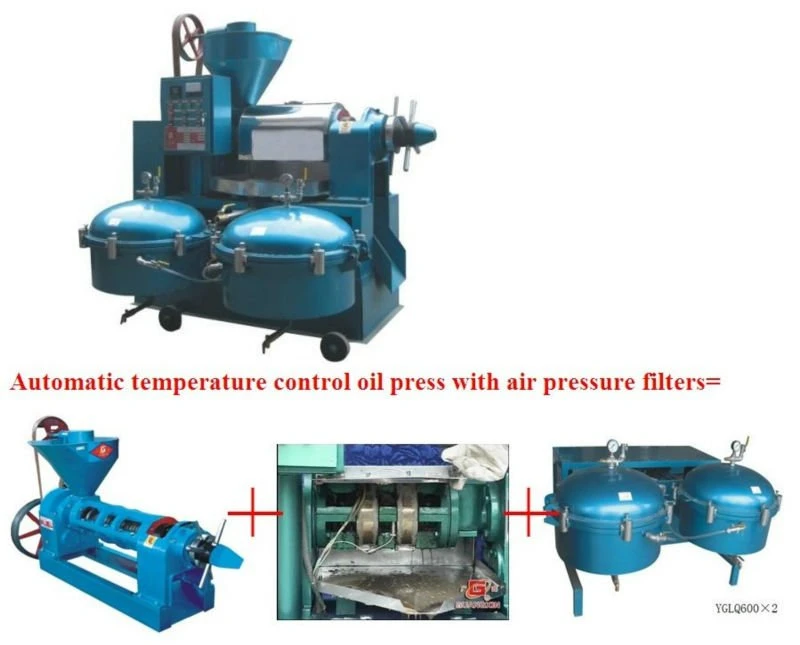 Advanced Rapeseed Oil Press Machine Combined with Vacuum Filters