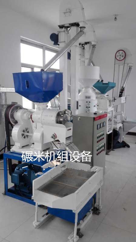 Automatic Mini Rice Mill Hot Sell in 2018