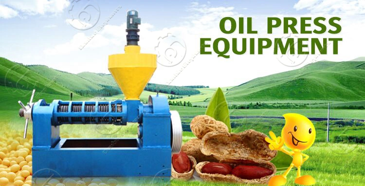 Soya Bean Oil Extraction Industrial Oil Press Machine Screw Price