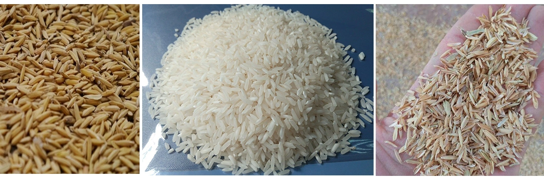 Auto Rice Mill in Bangladesh 20 Ton Rice Milling Machine