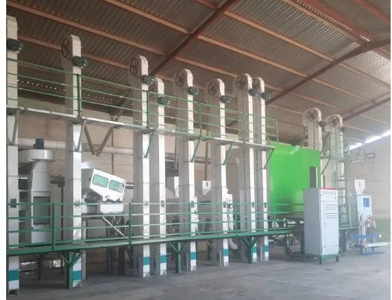50tpd Big Paddy Grain Processing Machinery Affortable Price in Nigeria Ghana Uganda