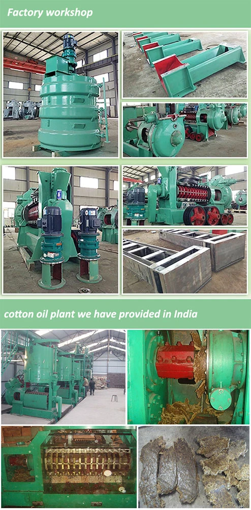 Gold Supplier Olive Oil Cold Press Palm Kernel Coconut Oil Expeller Oil Extraction Machine
