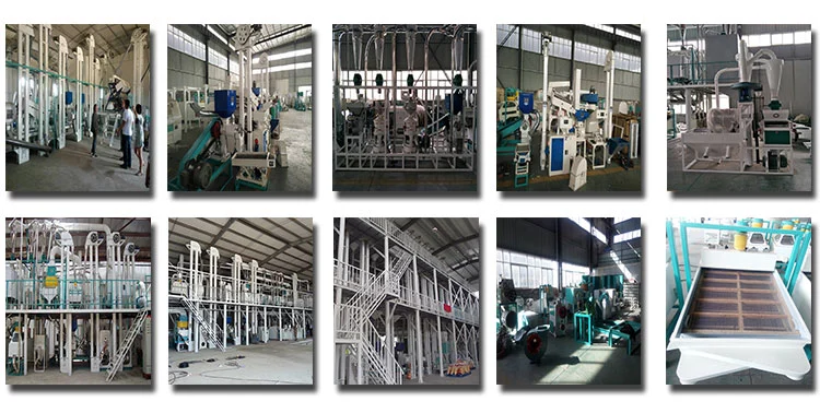Best Mini Rice Milling Line Combined Rice Mill Machine