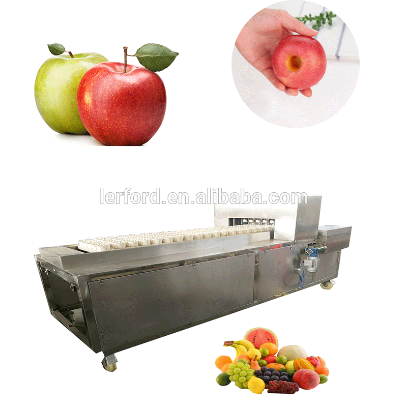 Olive Pitting Machine Olive Remove Core Fruit Processing Olive Coring Machine