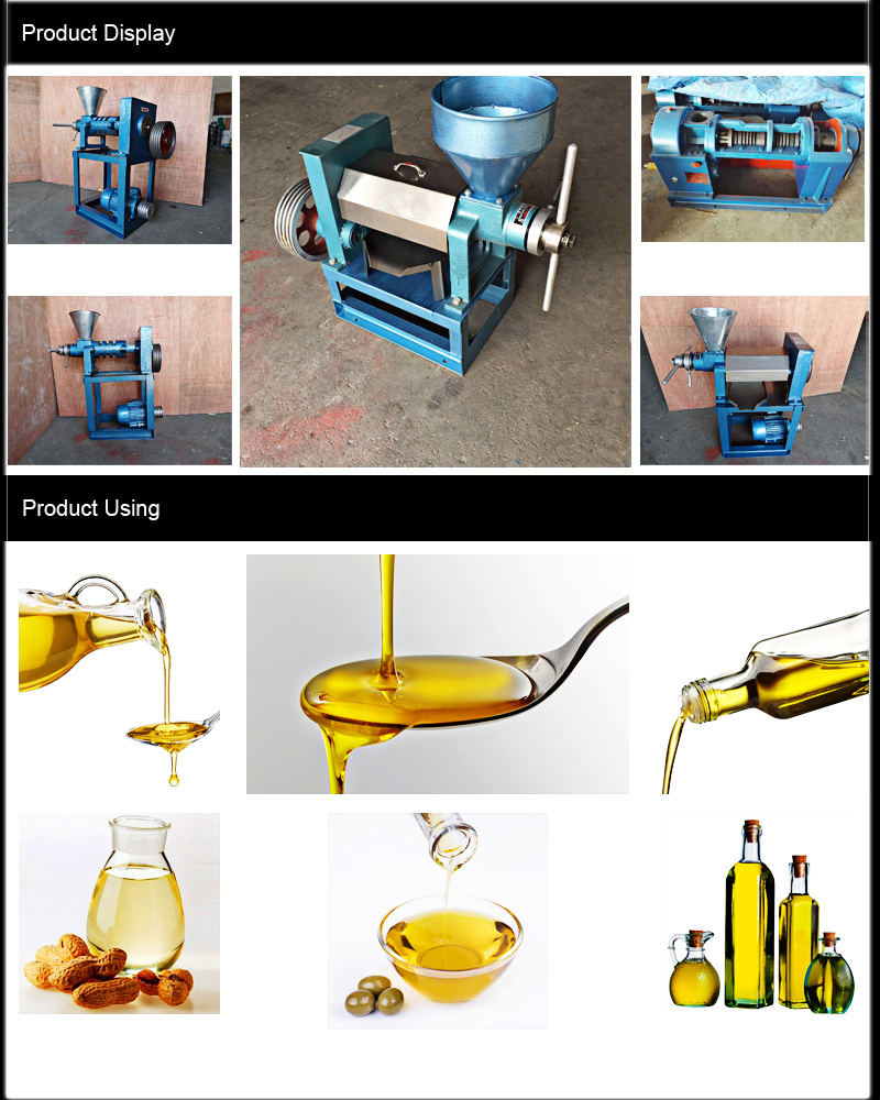 High Efficiency Electric Table Oil Press Machine, Oil Extracting Machine