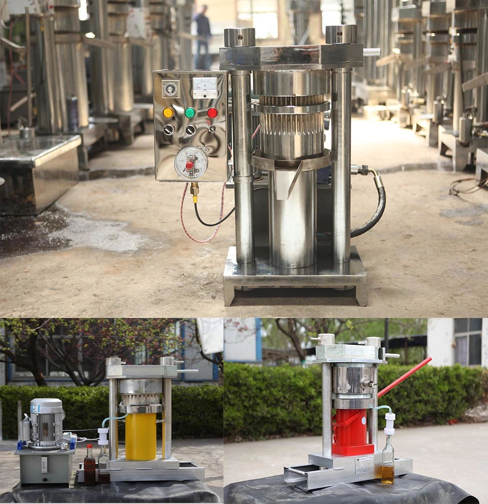 Stainless Steel Hydraulic Peanut Oil Press Machine and Sesame Oil Extraction Machine