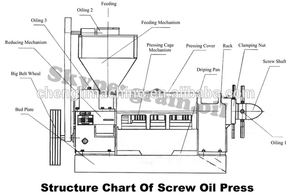 High Oil Yield Peanut/ Sunflower/ Rapeseed Seed Oil Press Machine