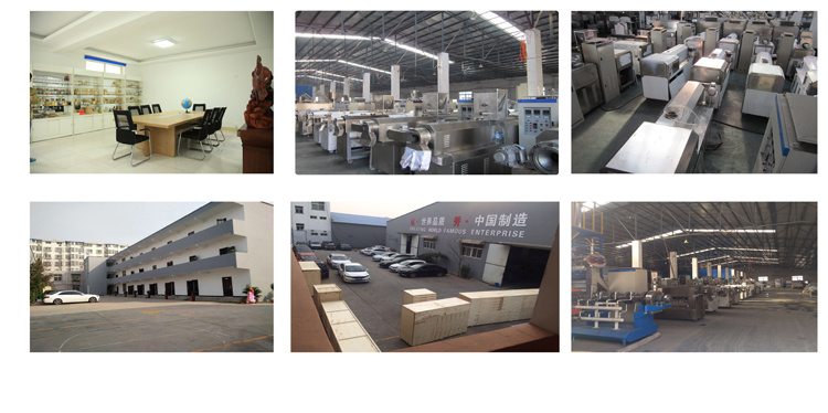 Enriched Fortified Artificial Rice Equipment Production Machine