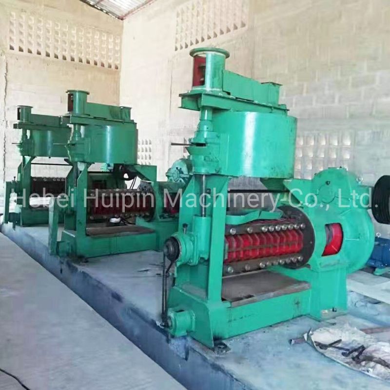 Automatic Peanut/Groundnut Oil Press Machine Squeezer for Cold Pressing