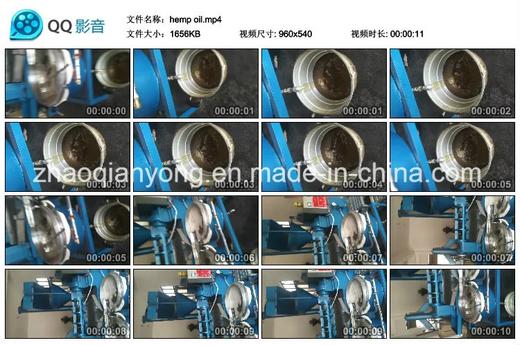 Palm Kernel Corn Oil Pressing Extraction Machine