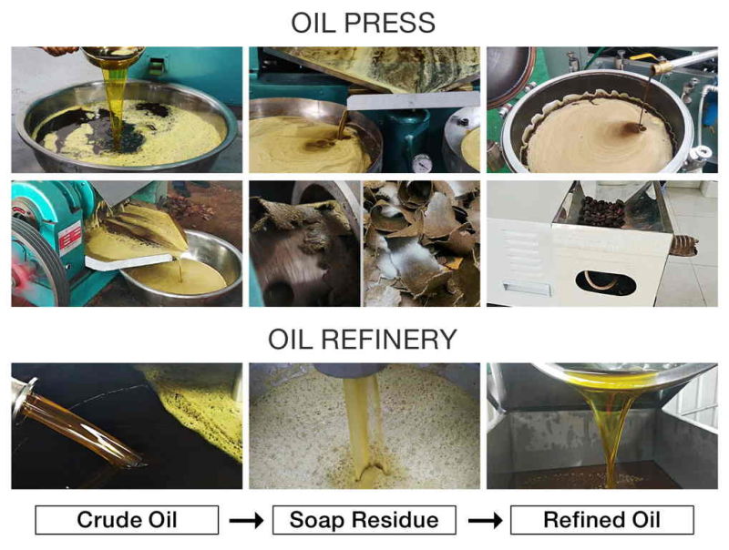 Oil Processing Machinery Peanut Oil Crushing Peanut Oil Press 10ton Per Day