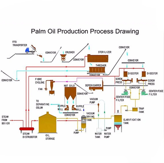 Red Palm Oil Machine Palm Kernel Oil Processing Machine