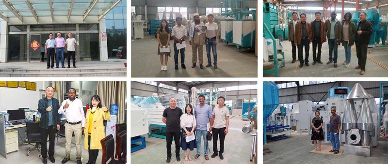Small Capacity 10t20trice Milling Plant Complete Rice Milling Line
