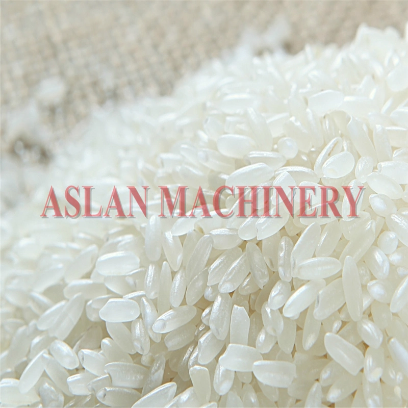Bean Polisher for Mungbean/ Soybean Rice Polishing Machine