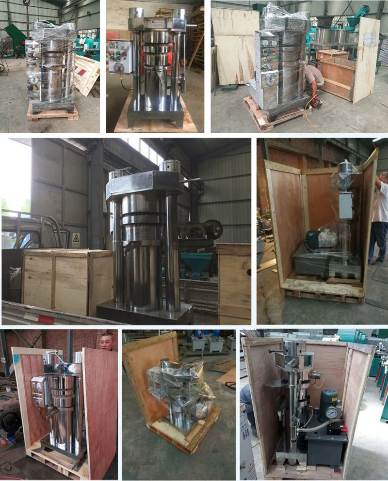6yz Automatic Hydraulic Groundnut Oil Presser Oil Press Machine