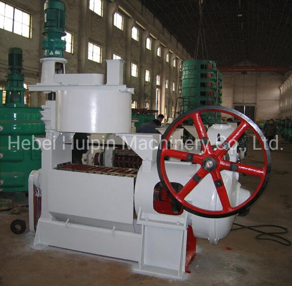 Cottonseed Cold Oil Press Machine Cold Oil Expeller