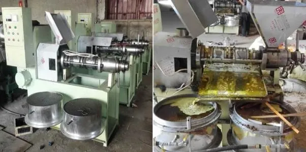 Hot Cooking Oil Press Machine, Sunflower Oil Press Machine