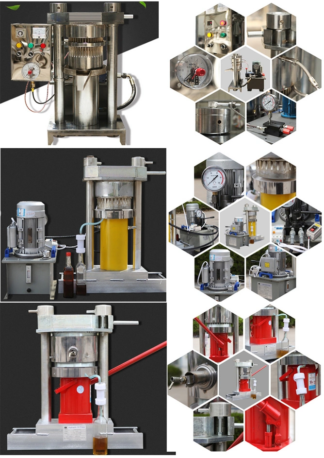 Simple Operation Automatic Sesame Oil Making Machine Hydraulic Oil Press and Cocoa Oil Press