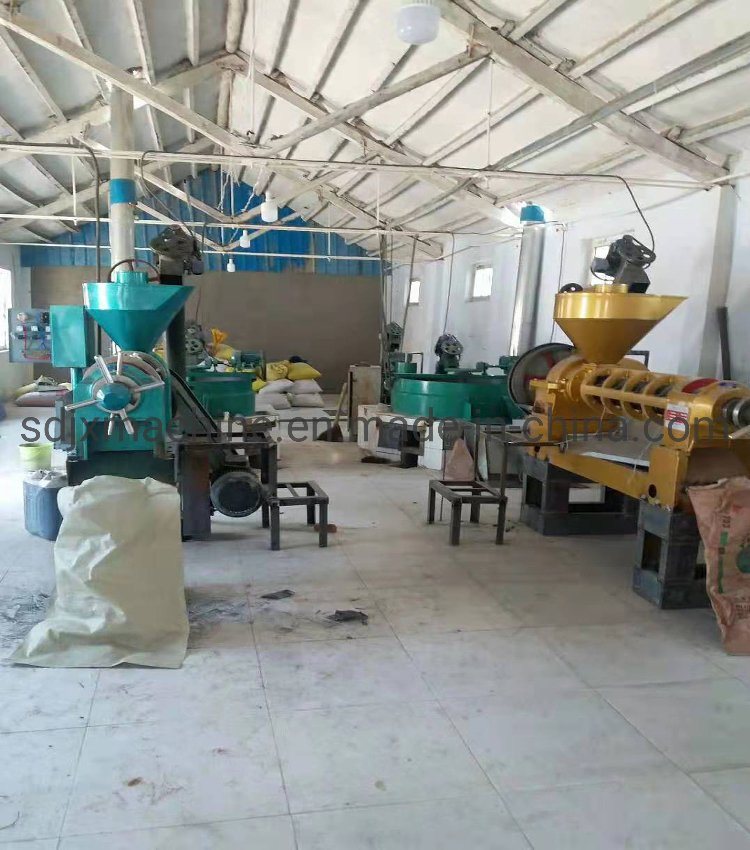 Screw Oil Press Machine/Sunflower Seed Oil Press/Automatic Cold Press Oil Mill