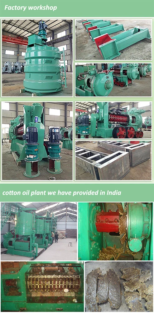 Automatic Coconut Oil Processing Machine Mustard Oil Expeller Rice Bran Oil Press Machine