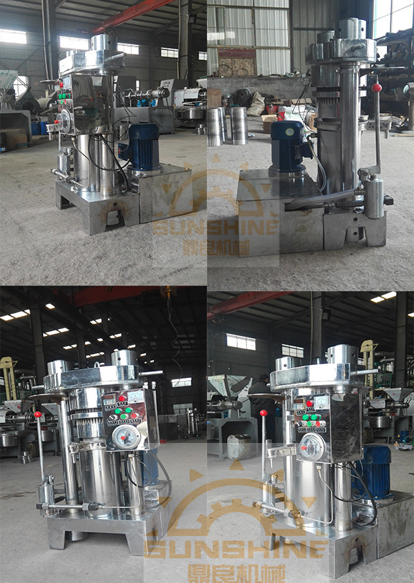 Olive Moringa Oil Press 6yz-280 Peanut Oil Mill Machinery