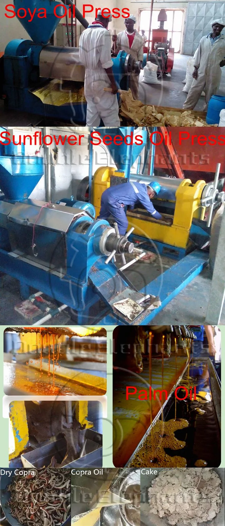 60-1000kg/H Big Screw Oil Press Machine, Palm Kernel Oil Expeller, Peanut Oil Mill, Soybean Oil Press