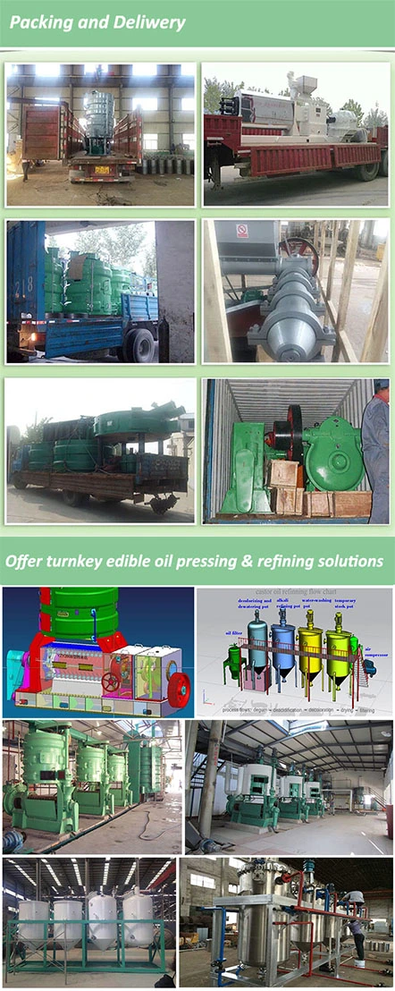 Hot Selling Good Quality Oil Production Safflower Oil Squeezer Coconut Oil Machinery Kerala
