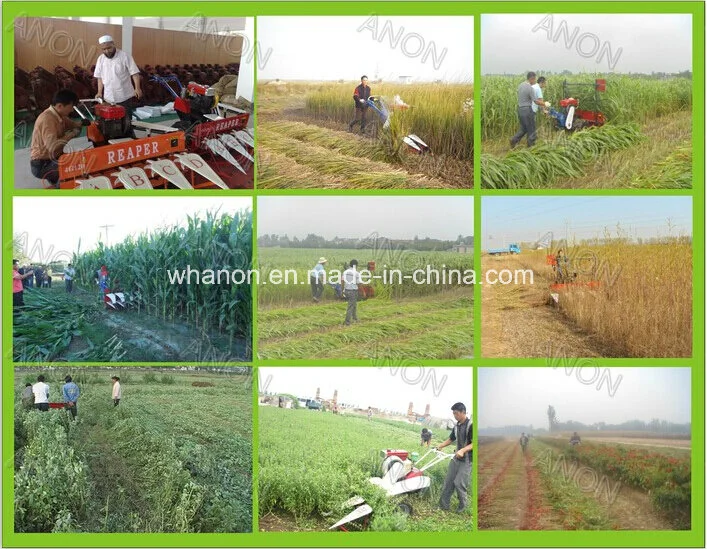 Anon Rice Harvester Machine for Sale Paddy Reaper Binder Machine Price