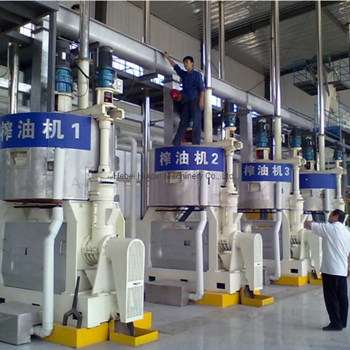 Rods-Type Rice Bran Oil Press, New Oil Press