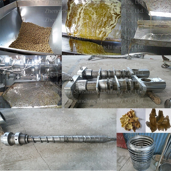 Palm Kernel Groundnut Peanut Soybean Making Machine Oil Expeller