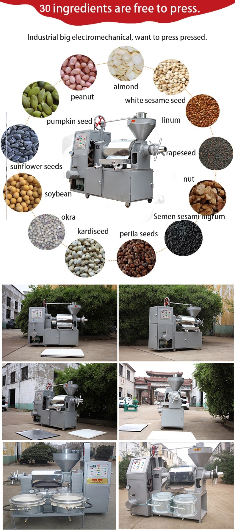 Screw Type Palm Kernel Oil Press Machine Argan Oil Mill Mustard Oil Machinery