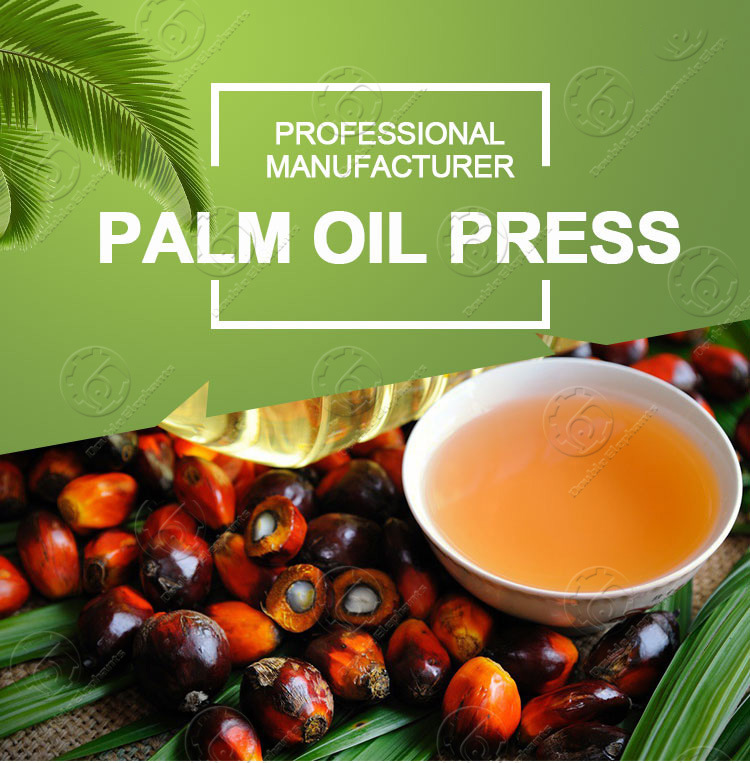 Palm Oil Cooking Oil Press Palm Press Palm Oil Machine
