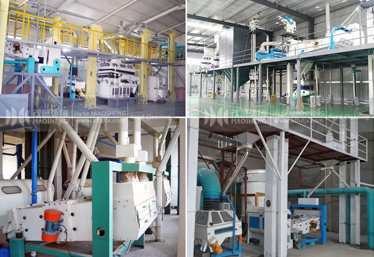 High Efficient Cereal Grain Cleaning Machine